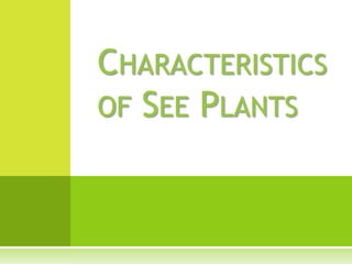 Characteristics of See Plants 