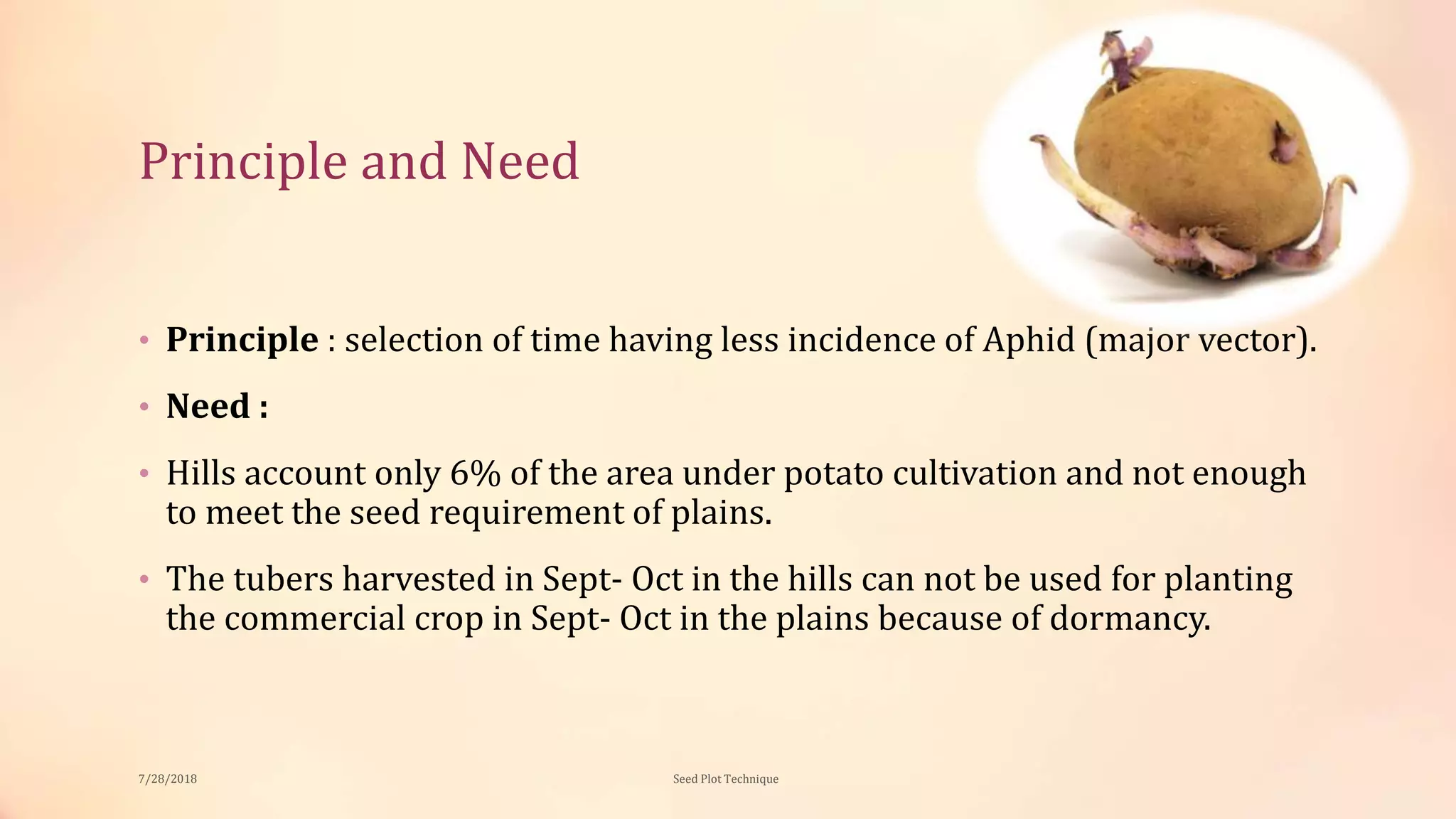 Seed plot technique in Potato | PPTX