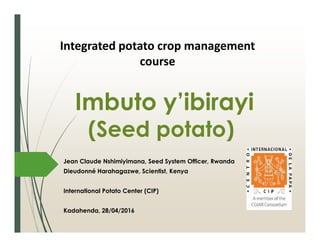 Imbuto y’ibirayi
(Seed potato)
Jean Claude Nshimiyimana, Seed System Officer, Rwanda
Dieudonné Harahagazwe, Scientist, Kenya
International Potato Center (CIP)
Kadahenda, 28/04/2016
Integrated potato crop management
course
 