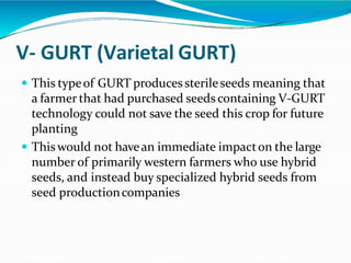 V- GURT (Varietal GURT)
 This typeof GURT produces sterileseeds meaning that
a farmer that had purchased seeds containing V-GURT
technology could not save the seed this crop for future
planting
 This would not havean immediate impacton the large
number of primarily western farmers who use hybrid
seeds, and instead buy specialized hybrid seeds from
seed productioncompanies
 