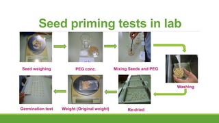Seed priming tests in lab
Seed weighing PEG conc. Mixing Seeds and PEG
Washing
Re-driedWeight (Original weight)Germination test
 