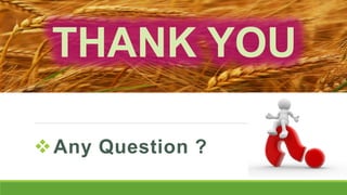 THANK YOU
Any Question ?
 