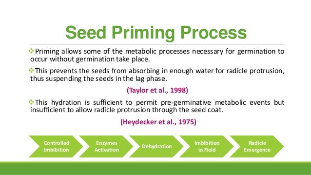 What Are The Different Types Of Priming Solutions? – ULDWR