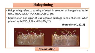 Seed priming:- A TOOL FOR QUALITY SEED PRODUCTION