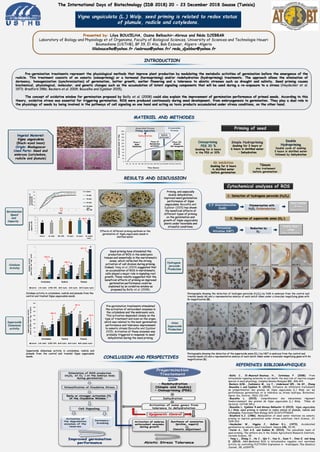 Vigna unguiculata (L.) Walp. seed priming is related to redox status
of plumule, radicle and cotyledons.
Presented by: Lilya BOUCELHA, Ouzna Belbachir-Abrous and Réda DJEBBAR
Laboratory of Biology and Physiology et of Organisms, Faculty of Biological Sciences, University of Sciences and Technologie Houari
Boumediene (USTHB), BP 39, El Alia, Bab Ezzouar, Algiers –Algeria
liliaboucelha@yahoo.fr /oabrous@yahoo.fr/ reda_djebbar@yahoo.fr
INTRODUCTION
The International Days of Biotechnology (IDB 2018) 20 - 23 December 2018 Sousse (Tunisia)
MATERIEL AND METHODES
Témoin
Any traitement
before germination
6h imbibition
Soaking for 6 hours
in distilled water
before germination
Simple Hydropriming
Soaking for 3 hours or
6 hours in distilled water
+ Dehydration
Osmopriming
PEG 30 %
Soaking for 6 hours
in the PEG at 30%
RESULTS AND DISCUSSION
Priming of seed
CONCLUSION AND PERSPECTIVES
REFERENCES BIBLIOGRAPHIQUES
-Bailly C., El-Maarouf-Bouteau H., Corbineau F. (2008). From
intracellular signaling networks to cell death: the dual role of reactive oxygen
species in seed physiology. Comptes Rendus Biologies 331, 806-814.
-Beckers GJM., Jaskiewicz M., Liu Y., Underwood WR., He SY., Zhang
-Boucelha L and Djebbar R. (2015). Influence de différents traitements
de prégermination des graines de Vigna unguiculata (L.) Walp. sur les
performances germinatives et la tolérance au stress hydrique. Biotechnol.
Agron. Soc. Environ., 19(2): 132-144.
-Boucelha L. (2015). Compréhension des mécanismes régissant
l’endurcissement des graines de Vigna unguiculata (L.) Walp. Thèse de
doctorat, USTHB 195 p
-Boucelha L, Djebbar R and Abrous-Belbachir O (2019). Vigna unguiculata
(L.) Walp. seed priming is related to redox status of plumule, radicle and
cotyledons. Functional Plant Biology DOI 10.1071/FP18202
-Bradford K.J. (1986). Manipulation of seed water relations via osmotic
priming to improve germination under stress conditions. Hort Science., 21:
1105-1112.
-Heydecker W., Higgins J., Gulliver R.L. (1973). Accelerated
germination by osmotic seed treatment. Nature 246, 42-44.
-Varier A., Vari A.K. and Dadlani M. (2010). The subcellular basis of
seed priming. The anthors are in the Indian Agricultural Research Institute,
Current Science., 99.
- Yang L., Zhang J., He J., Qin Y., Hua D., Duan Y., Chen Z. and Gong
Z. (2014). ABA-Mediated ROS in mitochondria regulate root meristem
activity by controlling PLETHORA Expression in Arabidopsis. Plos Genetics
Journal., 10, e1004791.
Pre-germination treatments represent the physiological methods that improve plant production by modulating the metabolic activities of germination before the emergence of the
radicle. This treatment consists of an osmotic (osmopriming) or a hormonal (hormopriming) and/or redehydration (hydropriming) treatments. The approach allows the elimination of
dormancy, homogenization (synchronization) of germination, better growth, earlier flowering and a tolerance to abiotic stresses such as drought and salinity. Seed priming causes
biochemical, physiological, molecular, and genetic changes such as the accumulation of latent signaling components that will be used during a re-exposure to a stress (Heydecker et al.
1973; Bradford 1986; Beckers et al. 2009; Boucelha and Djebbar 2015).
The concept of oxidative window for germination proposed by Bailly et al. (2008) could also explain the improvement of germination performance of primed seeds. According to this
theory, oxidative stress was essential for triggering germination. ROS were produced continuously during seed development, from embryogenesis to germination. They play a dual role in
the physiology of seeds by being involved in the pathways of cell signaling on one hand and acting as toxic products accumulated under stress conditions, on the other hand.
Vegetal Materiel:
Vigna unguiculata
(Black-eyed bean)
Origin: Madagascar
Used Parts: Seed and
embryos (cotyledons,
radicle and plumule)
Double
Hydropriming
Double cycle of soaking
3 hours in distilled water
followed by Dehydration
Germination
Speed
and
Capacity
Effects of different priming methods on the
germination of Vigna unguiculata seeds in
distilled water.
Catalase
Activity
Superoxide
Dismutase
activity
Priming, and especially
double dehydration,
improved seed germination
performance of Vigna
unguiculata. Boucelha and
Djebbar (2015) has shown
the beneficial effects of
different types of priming
on the germination and
growth of Vigna unguiculata
plants under favorable and
stressful conditions.
Seed priming have stimulated the
production of ROS in the embryonic
tissues and essentially in the meristematic
zones, which reflected the strong
activation of cell division during priming.
Indeed, Yang et al. (2014) suggested that
an accumulation of ROS in meristematic
cells played a major role in signaling root
growth. These results suggested that the
beneficial effects of priming on improved
germination performance could be
explained by an oxidative window as
proposed by Bailly et al. (2008).
Cotyledons
Radicle Plumule
1. Detection of hydrogene peroxide (H2O2)
3,3’ diaminobenzidine
(DAB)
Polymerization with
H2O2 Oxidoreduction
Very stable
Brown
precipitate
2. Detection of superoxide anion (O2
-)
Tetrazolium
Nitroblue (NBT)
Reduction by
O2
-
Stable blue-
indigo
Blue formazan
Cytochemical analyzes of ROS
Photographs showing the detection of hydrogen peroxide (H2O2) by DAB in embryos from the control and
treated seeds (A) and a representative embryo of each batch taken under a binocular magnifying glass with
8x magnification (B).
Photographs showing the detection of the superoxide anion (O2
-) by NBT in embryos from the control and
treated seeds (A) and a representative embryo of each batch taken under a binocular magnifying glass with 8x
magnification (B).
0
50
100
150
200
250
300
350
400
Cotyledons Radicle Plumule
SuperoxidedismutaseActivity
(UnitsofSOD.min-1mg-1ofprot)
Control 6h imbib PEG 30% 3h hydro 6h hydro 3h double hydro
Superoxide dismutase activity in cotyledons, radicle and
plumule from the control and treated Vigna unguiculata
seeds.
0
1
2
3
4
5
6
Cotyledons Radicle Plumule
Control 6h imbib PEG 30% 3h hydro 6h hydro 3h Double hydro
CatalaseActivity
(µmolH2O2mn-1mg-1prot)
Hydrogene
peroxide
Production
Catalase activity in cotyledons, radicle and plumule from the
control and treated Vigna unguiculata seeds.
Anion
Superoxide
Production
Pre-germination treatments stimulated
the activation of antioxidant enzymes in
the cotyledons and the embryonic axis.
This activation depended closely on the
type of treatment and even on the organ,
which was related to the best germination
performance and tolerance improvement
to osmotic stress (Boucelha and Djebbar
2015). Activation of these enzymes was
probably triggered in response to seed
dehydration during the seed priming.
Control PEG 30%
6h hydro 3h Double hydro
0
20
40
60
80
100
0 1 2 3 4 5
Control
6h imbib
3h hydro
6h hydro
3h Double
hydro
PEG 30%
Pourcentageof
germination
Days
0
20
40
60
80
100
120
Control 6h imbib PEG 30% 3h hydro 6h hydro 3h double
hydro
Germination
capacity(%)
+918 %
+493 %
+25 %
+256 %
+96 %
-40 %
+871 %
a a
b
c
d e
a
b
e
f
c
d a1 a2
b1
b2c1
c2
d1
e1
f1
d2
e2
f2
a
b
d
b
c
d
a1
b1
c1
b1
b1
d1
a2
b2
c2
d2
d2
e2
 