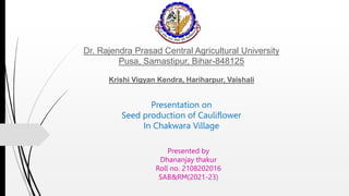 Dr. Rajendra Prasad Central Agricultural University
Pusa, Samastipur, Bihar-848125
Krishi Vigyan Kendra, Hariharpur, Vaishali
Presentation on
Seed production of Cauliflower
In Chakwara Village
Presented by
Dhananjay thakur
Roll no. 2108202016
SAB&RM(2021-23)
 