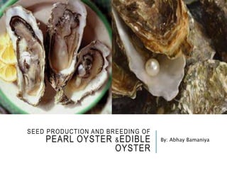 SEED PRODUCTION AND BREEDING OF
PEARL OYSTER &EDIBLE
OYSTER
By: Abhay Bamaniya
 