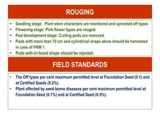 Seed production in drumstick | PPTX