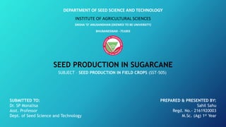DEPARTMENT OF SEED SCIENCE AND TECHNOLOGY
INSTITUTE OF AGRICULTURAL SCIENCES
SIKSHA ‘O’ ANUSANDHAN (DEEMED TO BE UNIVERSITY)
BHUBANESWAR - 751003
SUBMITTED TO:
Dr. SP Monalisa
Asst. Professor
Dept. of Seed Science and Technology
PREPARED & PRESENTED BY:
Sahil Sahu
Regd. No.- 2161920003
M.Sc. (Ag) 1st Year
SEED PRODUCTION IN SUGARCANE
SUBJECT – SEED PRODUCTION IN FIELD CROPS (SST-505)
 