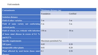 Seed production in wheat hybrid seed and others | PPTX