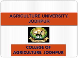COLLEGE OF
AGRICULTURE, JODHPUR
AGRICULTURE UNIVERSITY,
JODHPUR
 