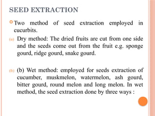 seed production of cucurbits.ggggggggggggggg | PPTX
