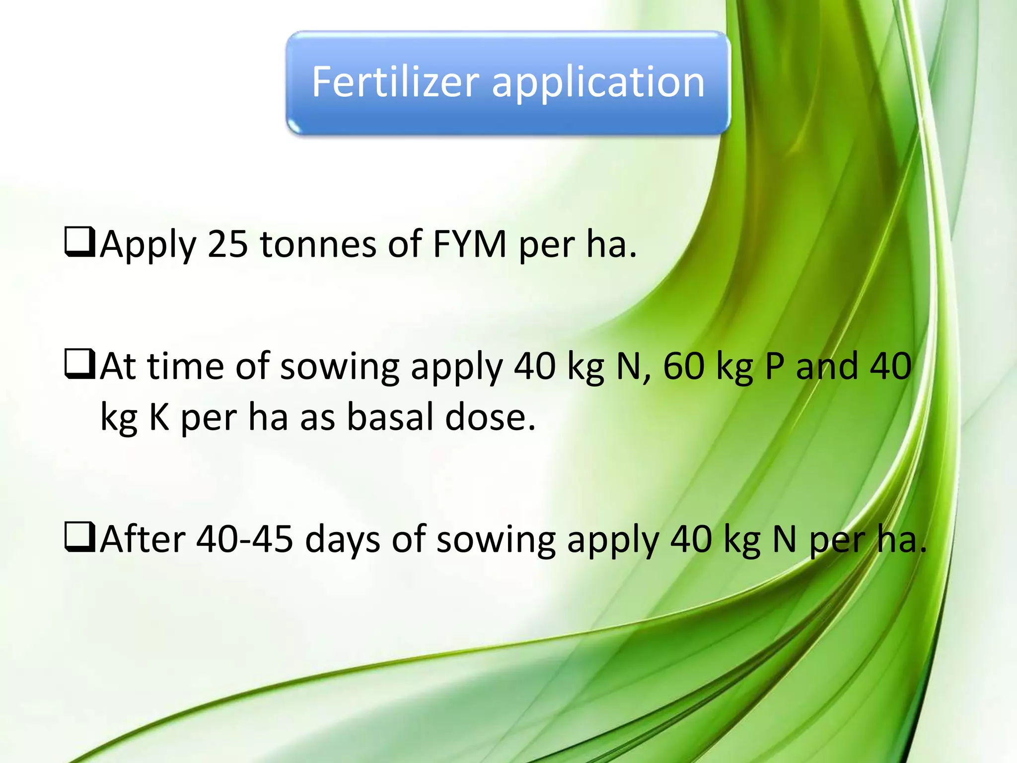 Fertilizer application
Apply 25 tonnes of FYM per ha.
At time of sowing apply 40 kg N, 60 kg P and 40
kg K per ha as basal dose.
After 40-45 days of sowing apply 40 kg N per ha.
 