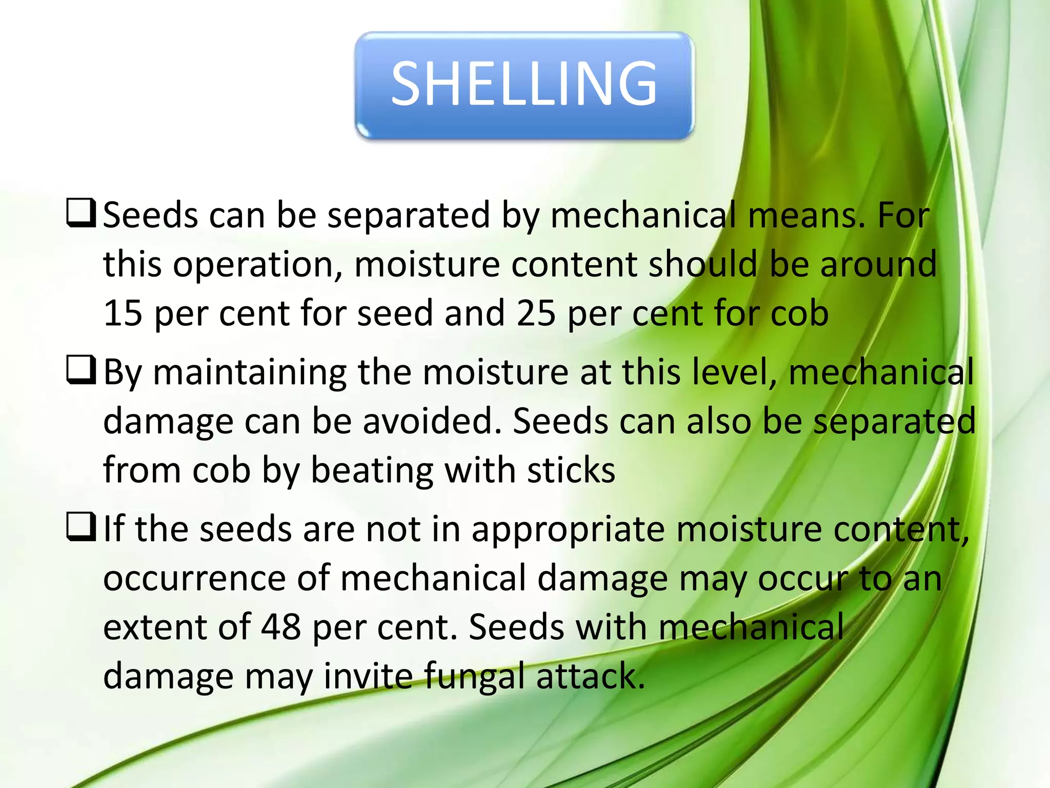 SHELLING
Seeds can be separated by mechanical means. For
this operation, moisture content should be around
15 per cent for seed and 25 per cent for cob
By maintaining the moisture at this level, mechanical
damage can be avoided. Seeds can also be separated
from cob by beating with sticks
If the seeds are not in appropriate moisture content,
occurrence of mechanical damage may occur to an
extent of 48 per cent. Seeds with mechanical
damage may invite fungal attack.
 
