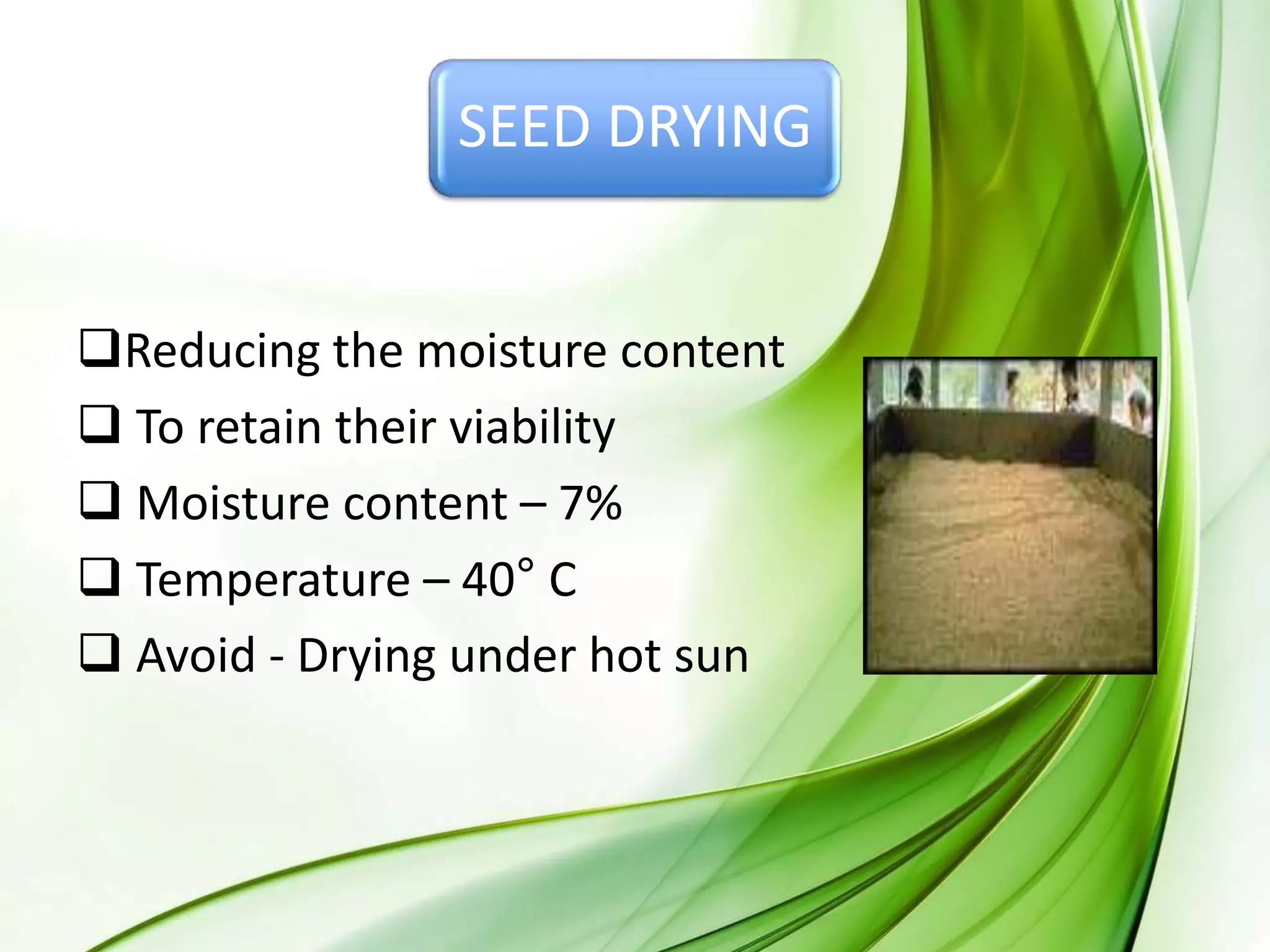 SEED DRYING
Reducing the moisture content
 To retain their viability
 Moisture content – 7%
 Temperature – 40° C
 Avoid - Drying under hot sun
 