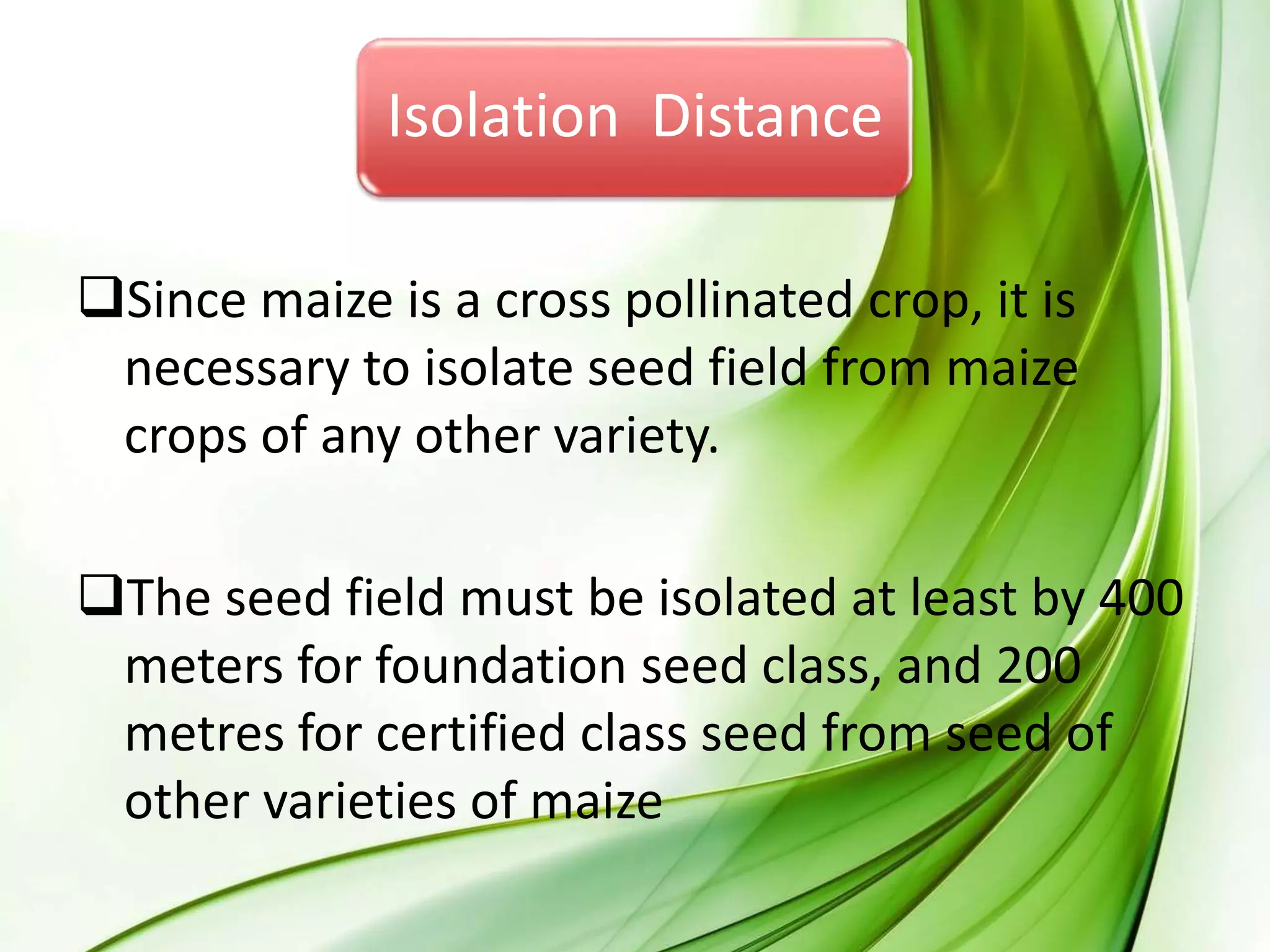 Isolation Distance
Since maize is a cross pollinated crop, it is
necessary to isolate seed field from maize
crops of any other variety.
The seed field must be isolated at least by 400
meters for foundation seed class, and 200
metres for certified class seed from seed of
other varieties of maize
 