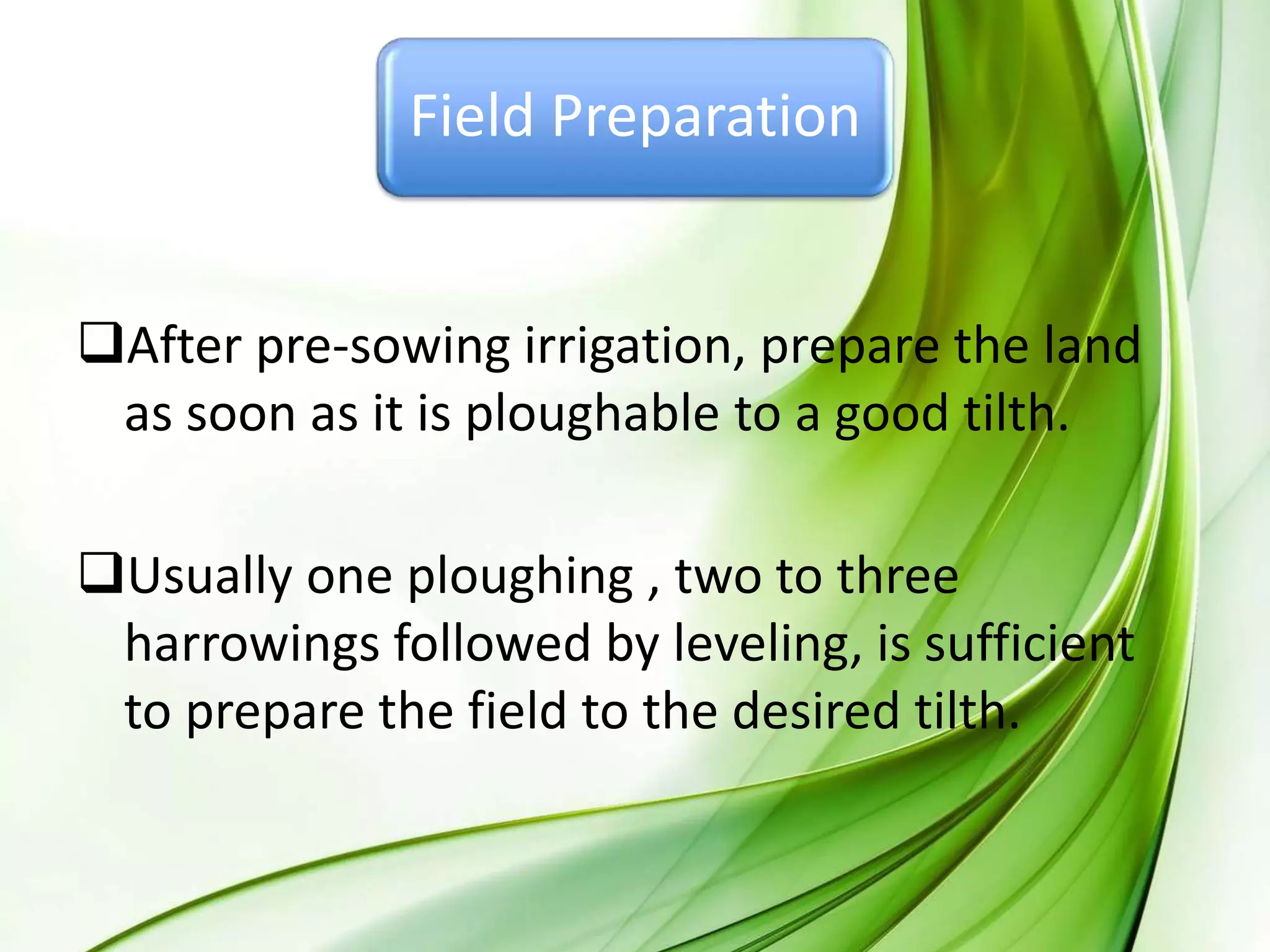Field Preparation
After pre-sowing irrigation, prepare the land
as soon as it is ploughable to a good tilth.
Usually one ploughing , two to three
harrowings followed by leveling, is sufficient
to prepare the field to the desired tilth.
 