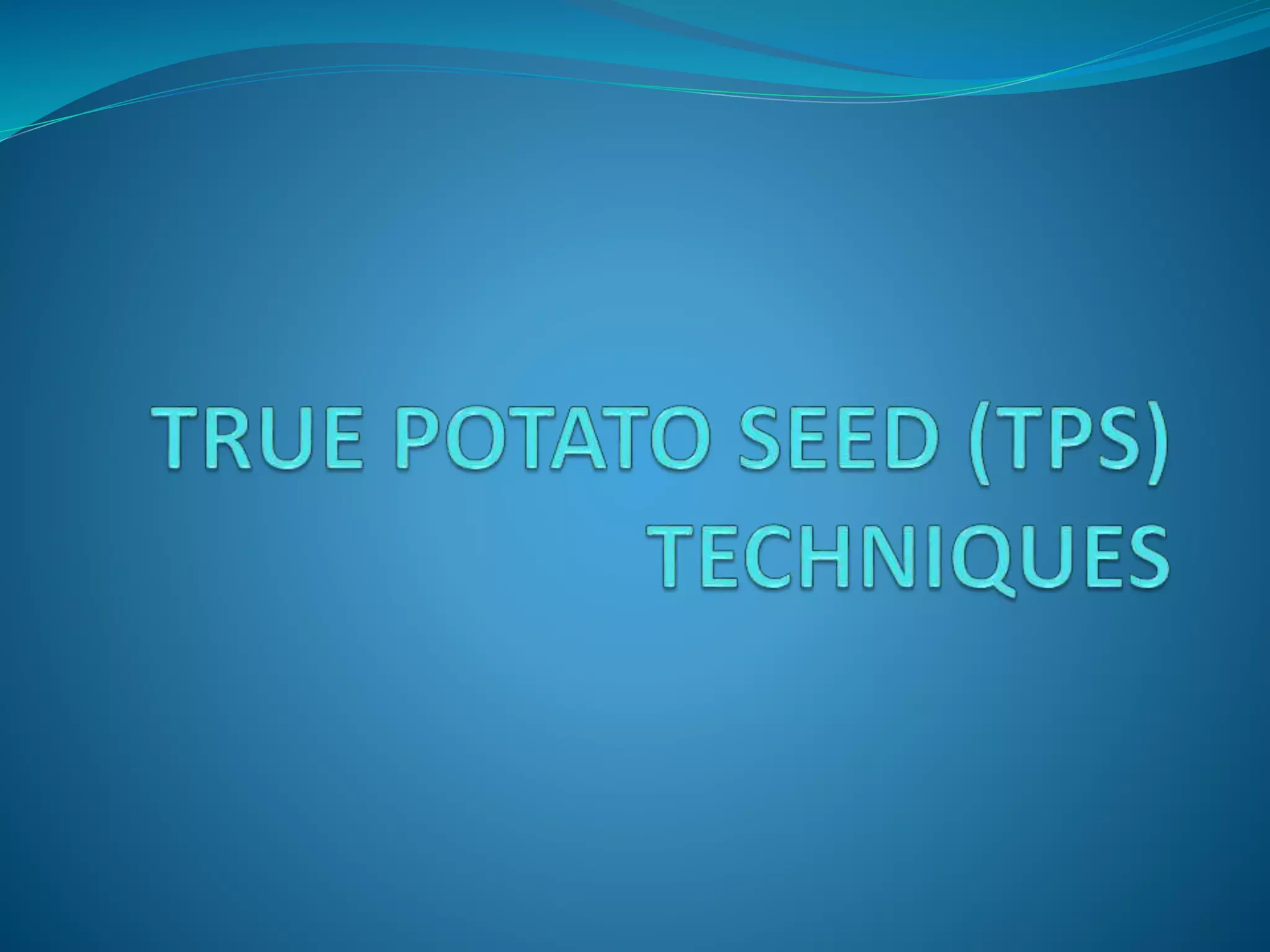 production-technique-of-true-potato-seed-pptx