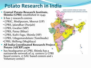 Potato Research in India
 Central Potato Research Institute,
Shimla (CPRI) established in 1949
 It has 7 research centres
• CPRIC, Modipuram, Meerut (UP)
• CPRS, Jalandhar (Punjab)
• CPRS, Gwalior (MP)
• CPRS, Patna (Bihar)
• CPRS, Kufri-Fagu, Shimla (HP)
• CPRS, Udagamandalam (Tamilnadu)
•CPRS, Shillong (Meghlaya)
 All India Coordinated Reseaech Project
Potato (AICRP),1970
 has headquarter at CPRI, Shimla has a
nationwide network of 25 centers (7 CPRI
based centers, 17 SAU based centers and 1
Voluntary center)
 