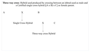 Three way cross: Hybrid seed produced by crossing between an inbred used as male and
a Certified single cross hybrid [(A x B) x C] as female parent.
A X B
Single Cross Hybrid X C
Three-way cross Hybrid
 