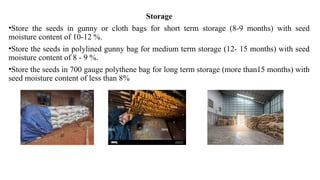 Storage
•Store the seeds in gunny or cloth bags for short term storage (8-9 months) with seed
moisture content of 10-12 %.
•Store the seeds in polylined gunny bag for medium term storage (12- 15 months) with seed
moisture content of 8 - 9 %.
•Store the seeds in 700 gauge polythene bag for long term storage (more than15 months) with
seed moisture content of less than 8%
 