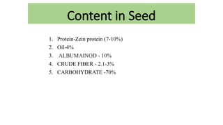 Content in Seed
1. Protein-Zein protein (7-10%)
2. Oil-4%
3. ALBUMAINOD - 10%
4. CRUDE FIBER - 2.1-3%
5. CARBOHYDRATE -70%
 