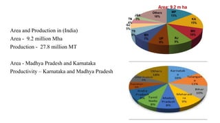 Area and Production in (India)
Area - 9.2 million Mha
Production - 27.8 million MT
Area - Madhya Pradesh and Karnataka
Productivity – Karnataka and Madhya Pradesh
 