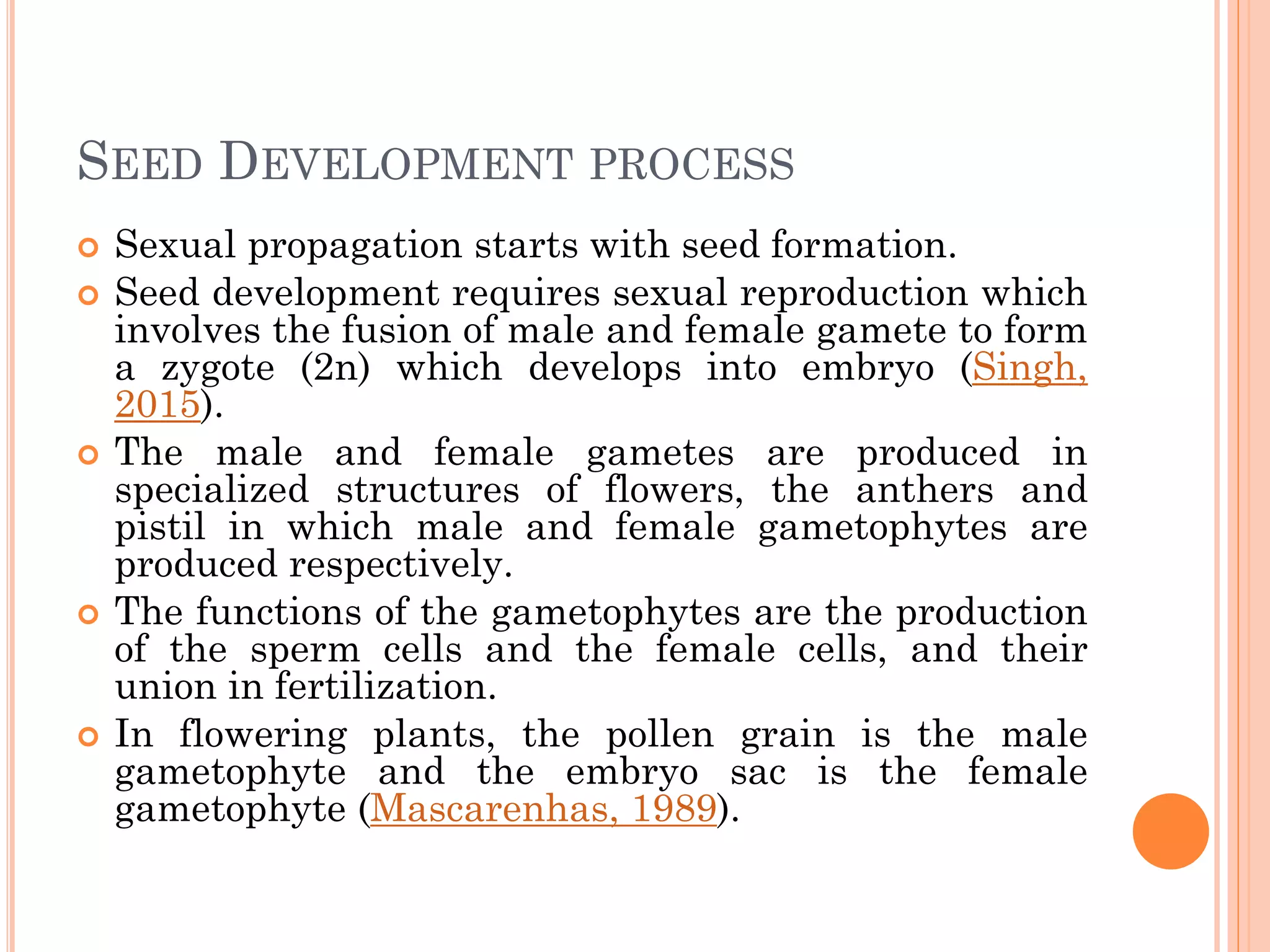 SEED DEVELOPMENT PROCESS
 Sexual propagation starts with seed formation.
 Seed development requires sexual reproduction which
involves the fusion of male and female gamete to form
a zygote (2n) which develops into embryo (Singh,
2015).
 The male and female gametes are produced in
specialized structures of flowers, the anthers and
pistil in which male and female gametophytes are
produced respectively.
 The functions of the gametophytes are the production
of the sperm cells and the female cells, and their
union in fertilization.
 In flowering plants, the pollen grain is the male
gametophyte and the embryo sac is the female
gametophyte (Mascarenhas, 1989).
 
