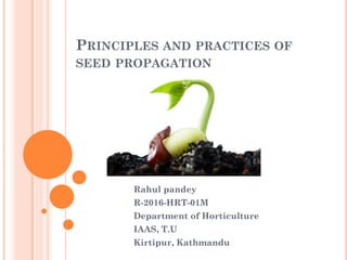 PRINCIPLES AND PRACTICES OF
SEED PROPAGATION
Rahul pandey
R-2016-HRT-01M
Department of Horticulture
IAAS, T.U
Kirtipur, Kathmandu
 