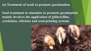(a) Treatment of seeds to promote germination.
Seed treatment to stimulate or promote germination
mainly involves the application of gibberellins,
cytokinins, ethylene and seed-priming systems
 