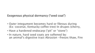 Exogenous physical dormancy (“seed coat”)
• Outer integument becomes hard or fibrous during
(Ex: coconut, Kentucky coffee tree) In drupes (cherry,
• Have a hardened endocarp (“pit” or “stone”)
• In nature, hard seed coats are softened by:
an animal’s digestive tract Abrasion -freeze/thaw, Fire
 