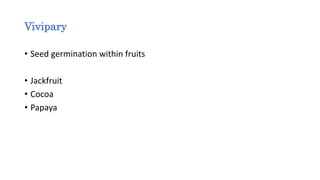Vivipary
• Seed germination within fruits
• Jackfruit
• Cocoa
• Papaya
 