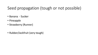Seed propagation (tough or not possible)
• Banana - Sucker
• Pineapple
• Strawberry (Runner)
• Rubber/Jackfruit (very tough)
 