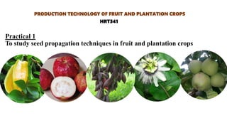 Practical 1
To study seed propagation techniques in fruit and plantation crops
PRODUCTION TECHNOLOGY OF FRUIT AND PLANTATION CROPS
HRT341
 
