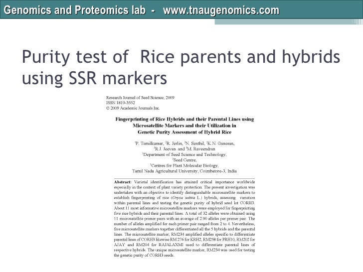 rice purity test 2 rice purity test 2
