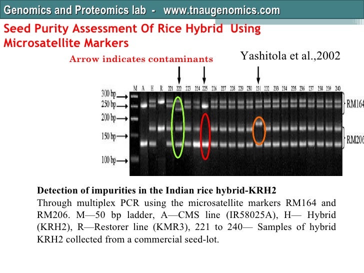 rive purity test rive purity test