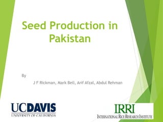 Seed Production in
Pakistan
By
J F Rickman, Mark Bell, Arif Afzal, Abdul Rehman
 