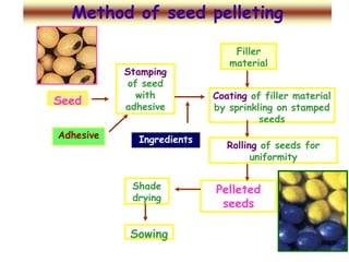 Filler
material
Seed
Stamping
of seed
with
adhesive
Coating of filler material
by sprinkling on stamped
seeds
Adhesive
Shade
drying
Pelleted
seeds
Sowing
Rolling of seeds for
uniformity
Ingredients
Method of seed pelleting
 