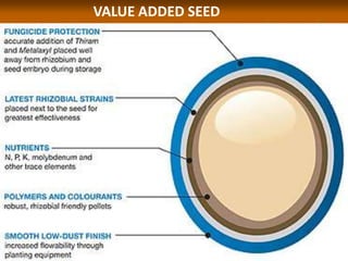 VALUE ADDED SEED
 