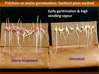 Uncoated
Slurry treatment
Polykote on maize germination: Inclined plate method
Early germination & high
seedling vigour
 