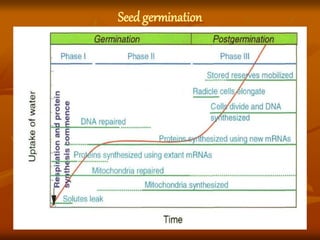 Seedgermination
 