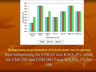 Halopriming on germination of hybrid maize and its parents
Best halopriming for UMI 61 was KNO3 3%, while
for UMI 285 and COH (M) 5 was KH2PO4 1% for
10h
 