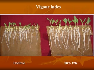 Vigour index
Control 20% 12h
 