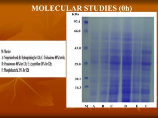 MOLECULAR STUDIES (0h)
 