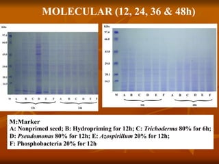 MOLECULAR (12, 24, 36 & 48h)
 