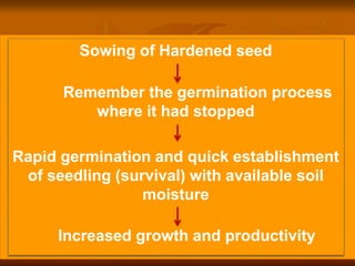 Sowing of Hardened seed
Remember the germination process
where it had stopped
Rapid germination and quick establishment
of seedling (survival) with available soil
moisture
Increased growth and productivity
 