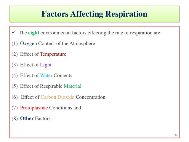 Seed respiration 2