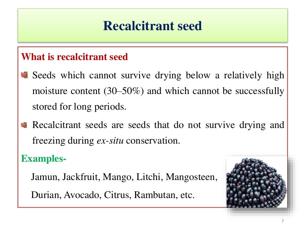 Seed respiration 2