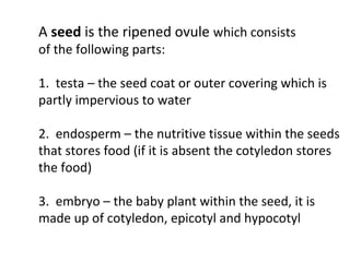 A seed is the ripened ovule which consists
of the following parts:
1. testa – the seed coat or outer covering which is
partly impervious to water
2. endosperm – the nutritive tissue within the seeds
that stores food (if it is absent the cotyledon stores
the food)
3. embryo – the baby plant within the seed, it is
made up of cotyledon, epicotyl and hypocotyl