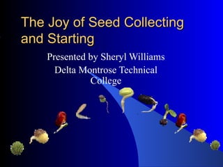 The Joy of Seed Collecting and Starting Presented by Sheryl Williams Delta Montrose Technical College 